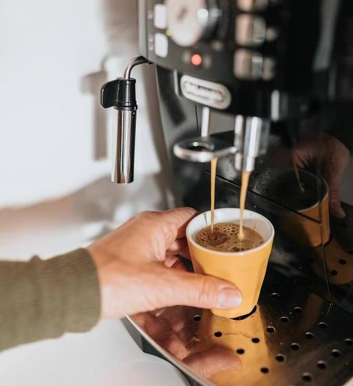 اتاق لوکس سه تخته, Vida Verde