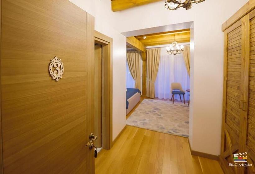 高级大房间, Casa Baciu Colacu