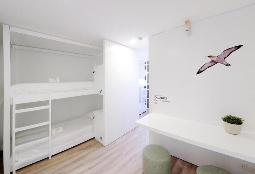 Кровать в Общей Комнате, Boa Nova Hostel