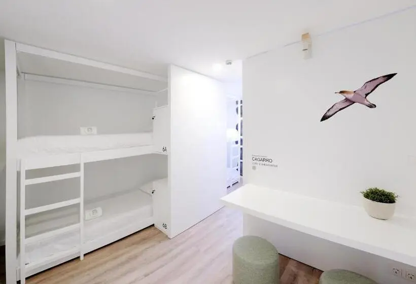 ルームシェアのワンベッド, Boa Nova Hostel