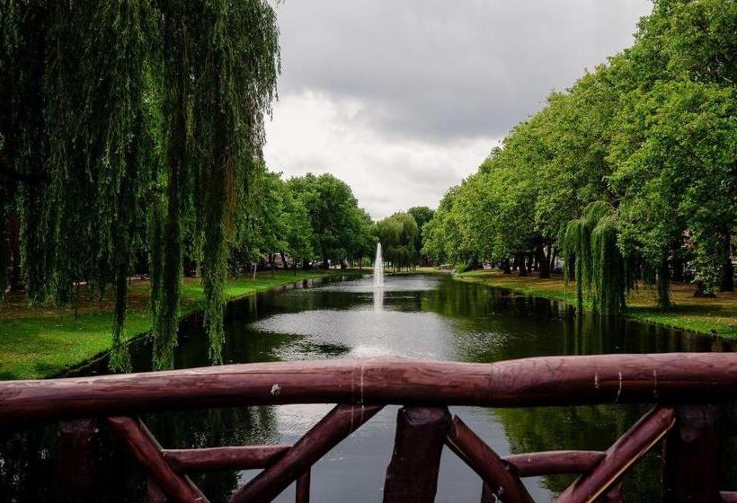 수피리어 스위트, Mr.lewis  Rotterdam