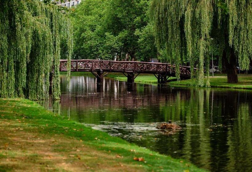 기본룸, Mr.lewis  Rotterdam