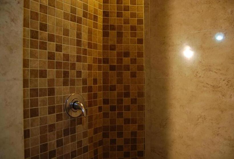 Номер Стандарт, Platino