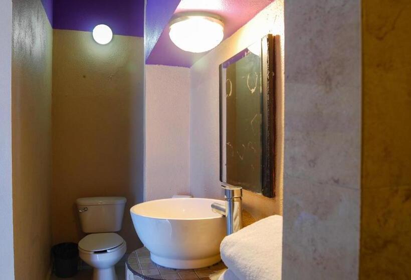 Номер Стандарт, Platino