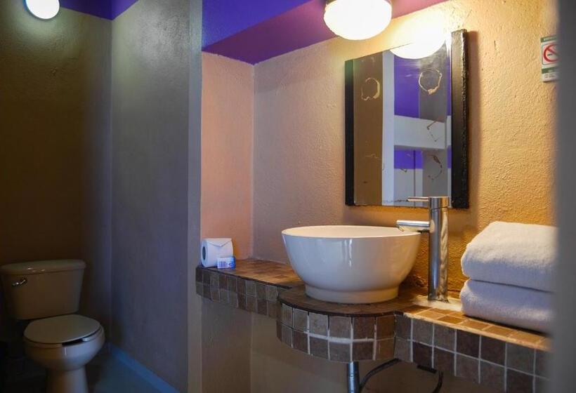 Номер Стандарт, Platino