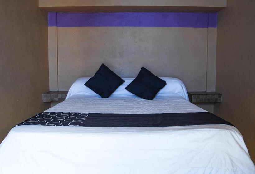 Номер Стандарт, Platino