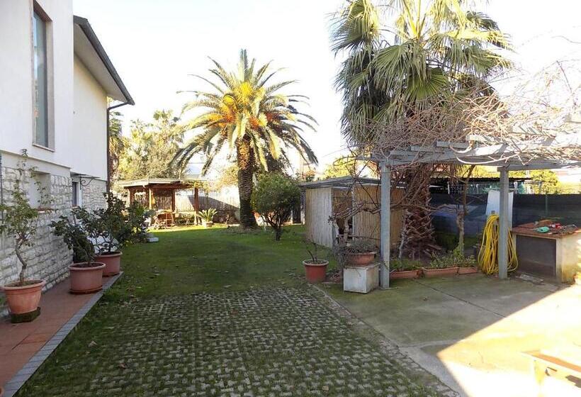 استودیوی استاندارد, Casa Nuccia Gentili David