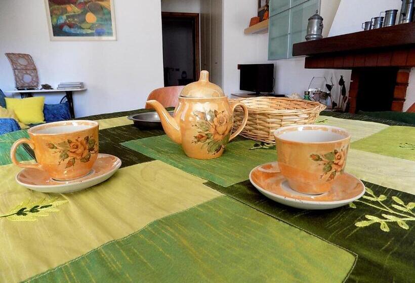 استودیوی استاندارد, Casa Nuccia Gentili David