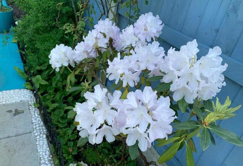 Номер Стандарт Совместная Ванная, Prince Cottage