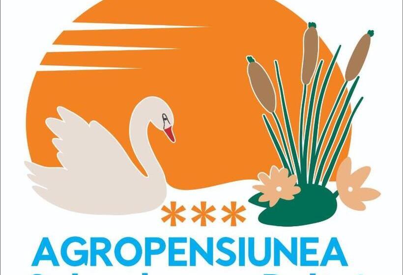 اتاق لوکس, Splendoarea Deltei