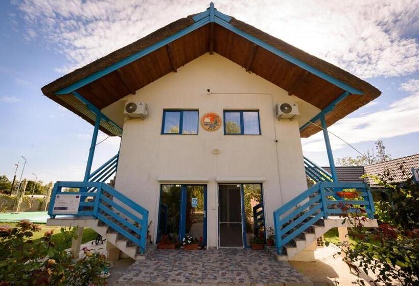 اتاق لوکس, Splendoarea Deltei