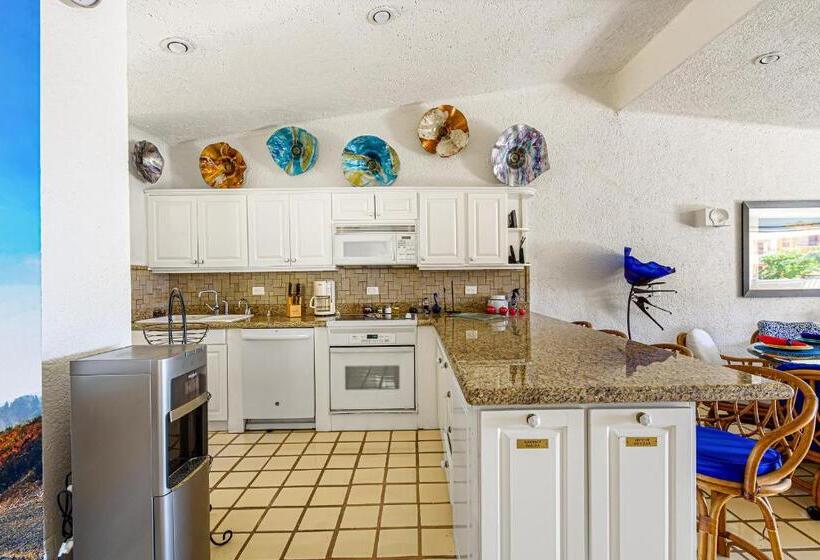 Апартаменты 3 Спальни, Terrasol Elite Premium Vacation Rentals