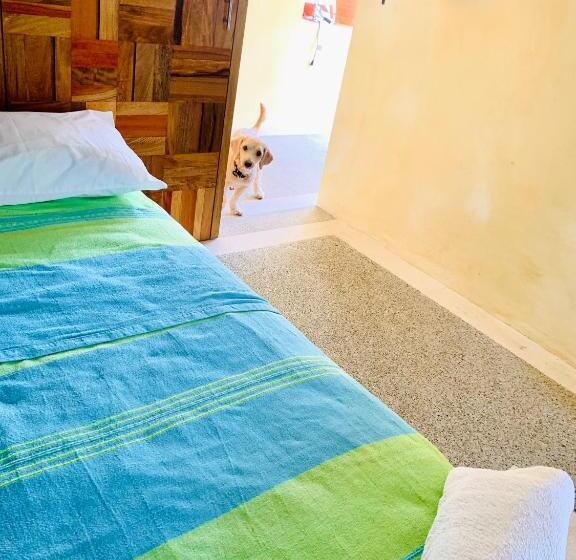 מיטה בחדר משותף, Villa Bonobo Coliving