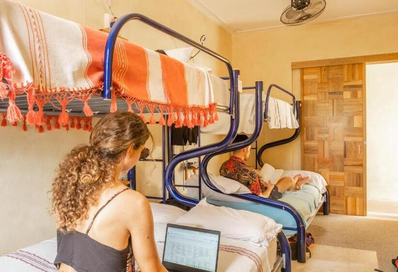 מיטה בחדר משותף, Villa Bonobo Coliving