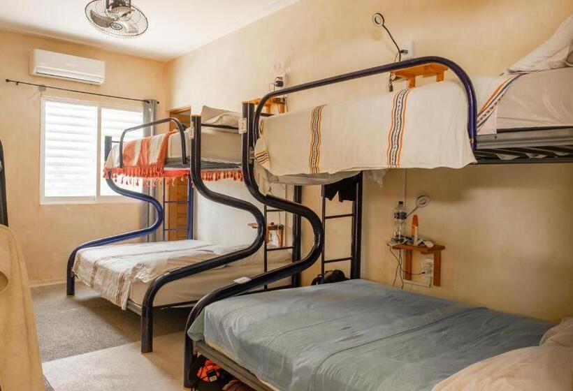 מיטה בחדר משותף, Villa Bonobo Coliving