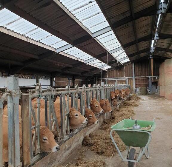 家族用バンガロー, B&b La Ferme Du Château De Broich