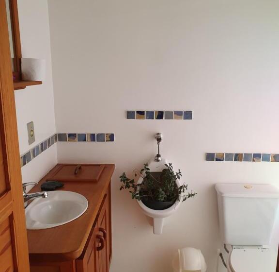 스위트 킹사이즈 침대, Reino Solar