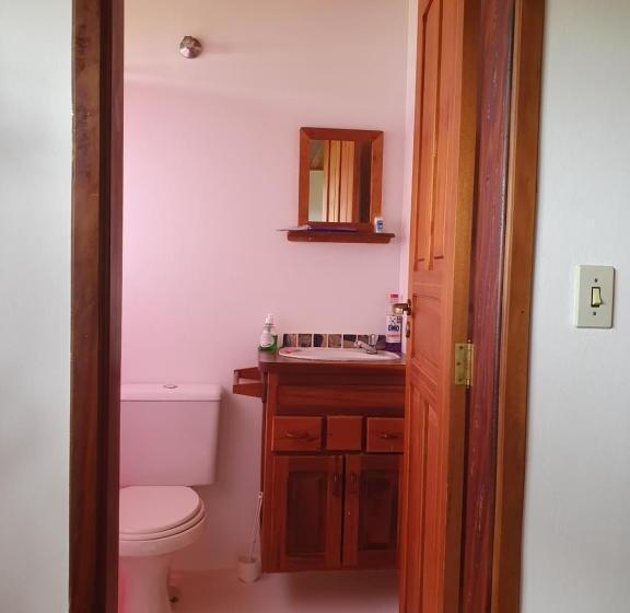 스위트, Reino Solar