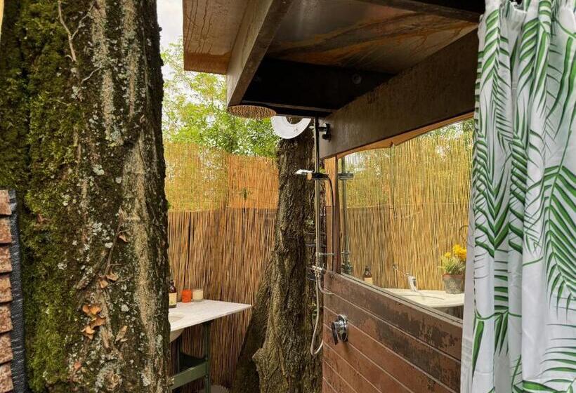 Standard Tent, Palazzo Delle Biscie   Old Tower & Village