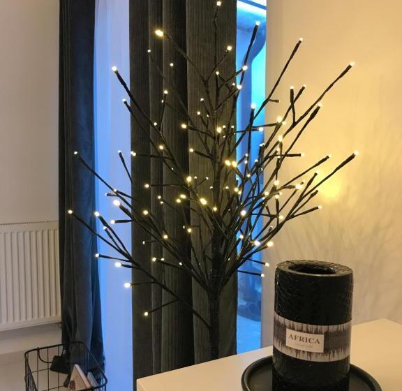 غرفة قياسية مزوَّدة بتراس, Citadella House Targu Mures