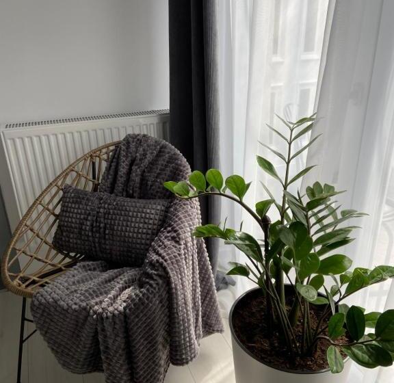 غرفة قياسية مزوَّدة بتراس, Citadella House Targu Mures