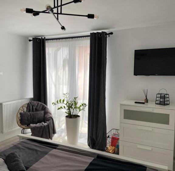 غرفة قياسية مزوَّدة بتراس, Citadella House Targu Mures