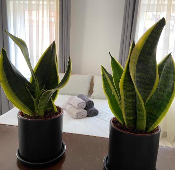 إستوديو قياسى, Citadella House Targu Mures