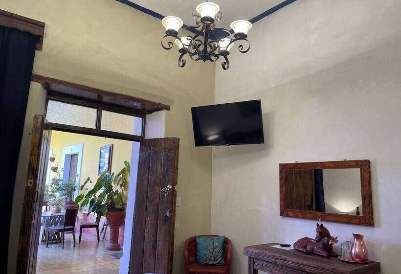 StandaardKamer, Copa De Oro Hotel Boutique