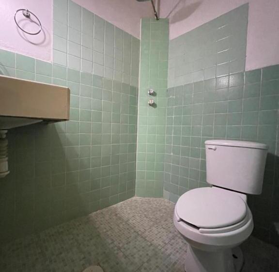 غرفه قياسيه سريرين مزدوجين, Copa De Oro Hotel Boutique