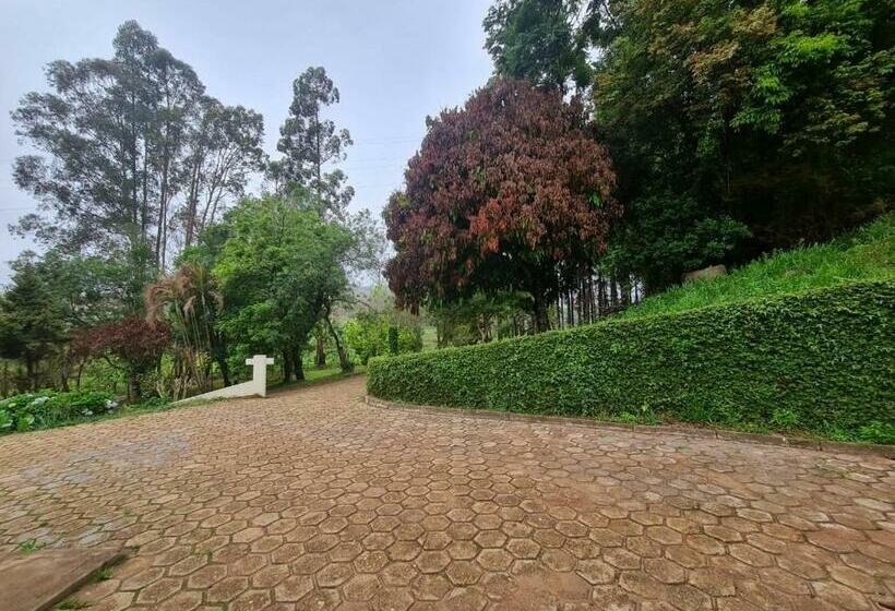 발코니가 있는 스위트, Pousada Paraiso Dos Tucanos