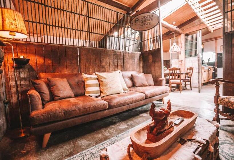 침실 1개 주택, Crash Nstay   Paardenstal