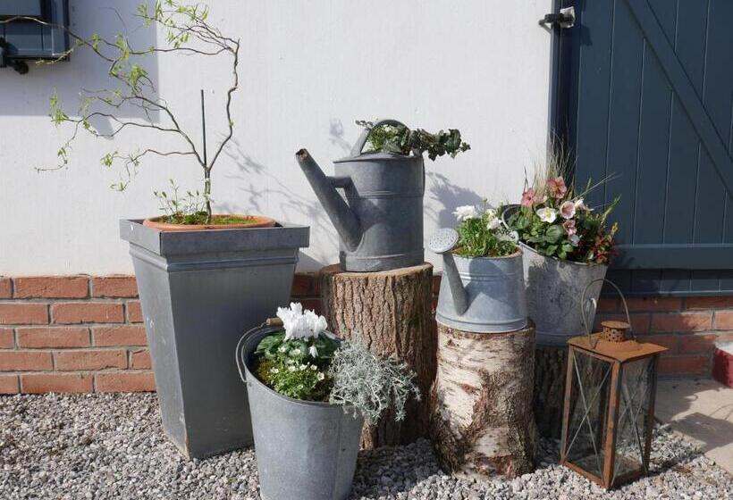 スタンダードルーム, Opale Des Caps