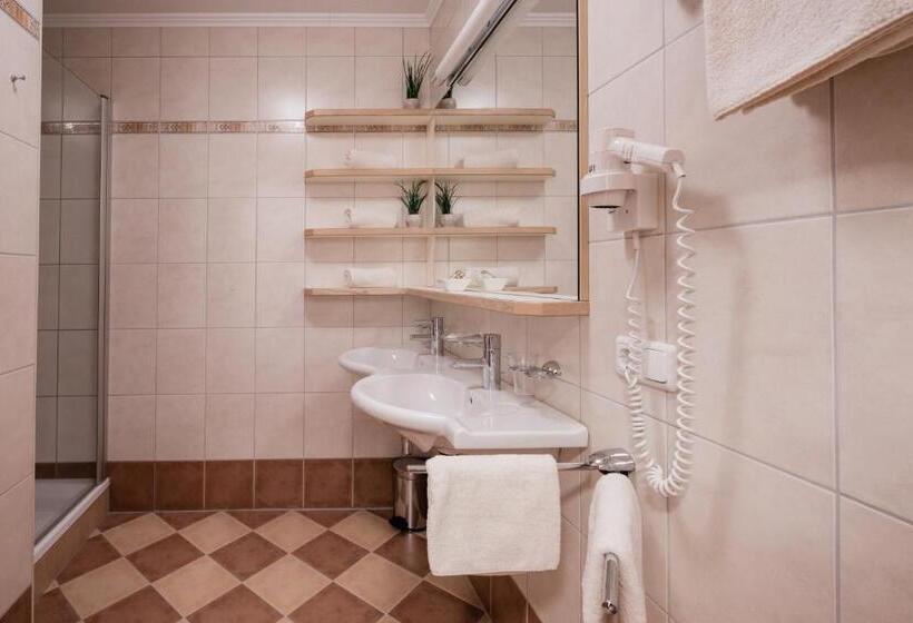 Апартаменты 1 Спальня с Видом, Der Erlenhof