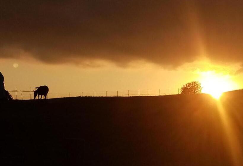 غرفة قياسية حمام مشترك, La Bella Ninfa