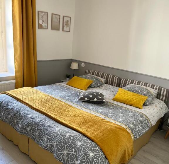 اتاق استاندارد با چشم‌انداز باغ, 2 Chambres, 4 A 6 Voyageurs En Centre Ville, à 5 Mins Du Zoo