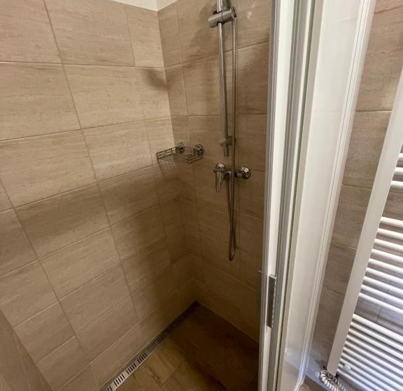 חדר סטנדרט, Rodinný Penzion Kohoutek