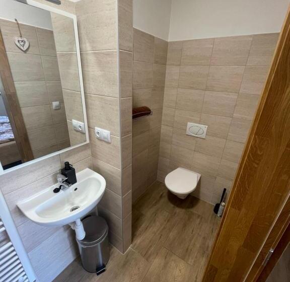 חדר סטנדרט, Rodinný Penzion Kohoutek