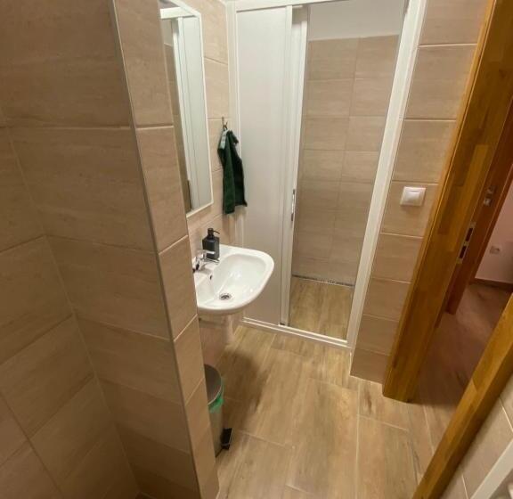 חדר סטנדרט לארבעה, Rodinný Penzion Kohoutek