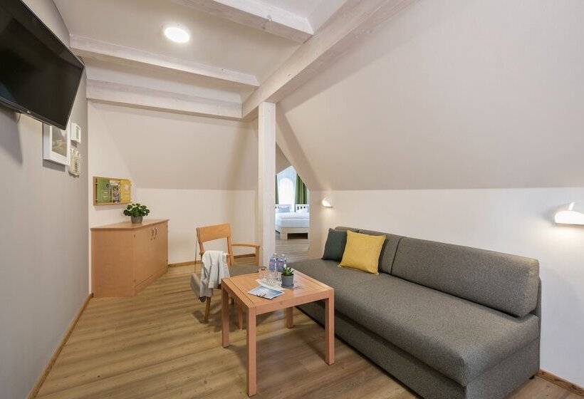 غرفة قياسية, Jufa Hotel Schloss Röthelstein