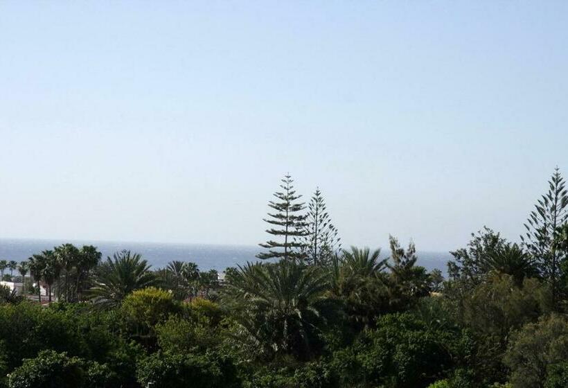 １ベッドルームアパートメント, Apartamentos Los Tilos
