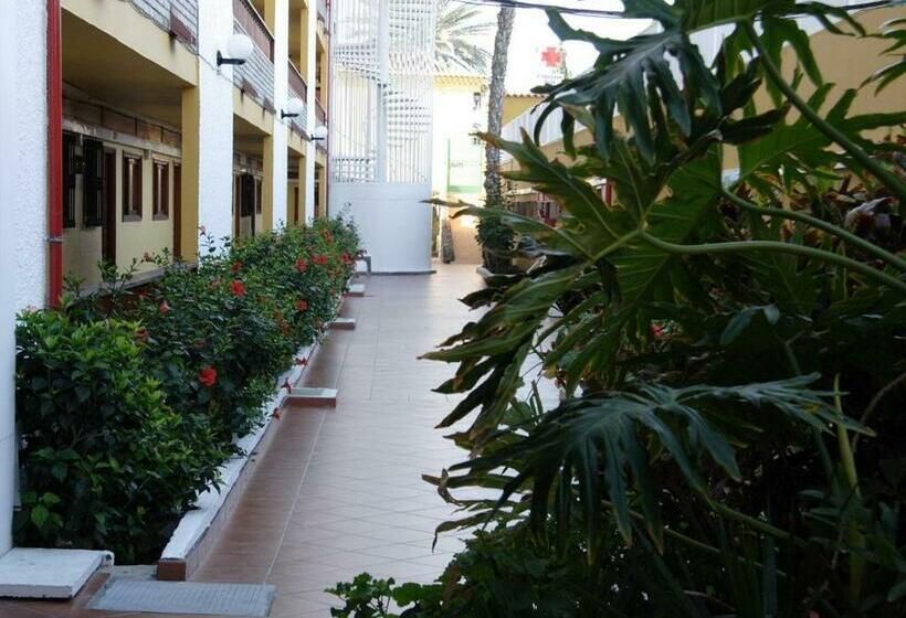 آپارتمان 1 خوابه, Apartamentos Los Tilos