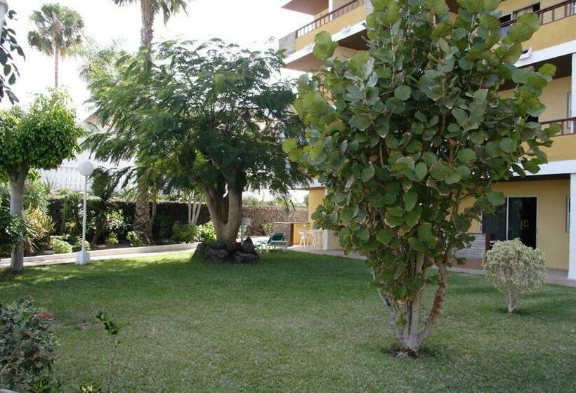 آپارتمان 1 خوابه, Apartamentos Los Tilos