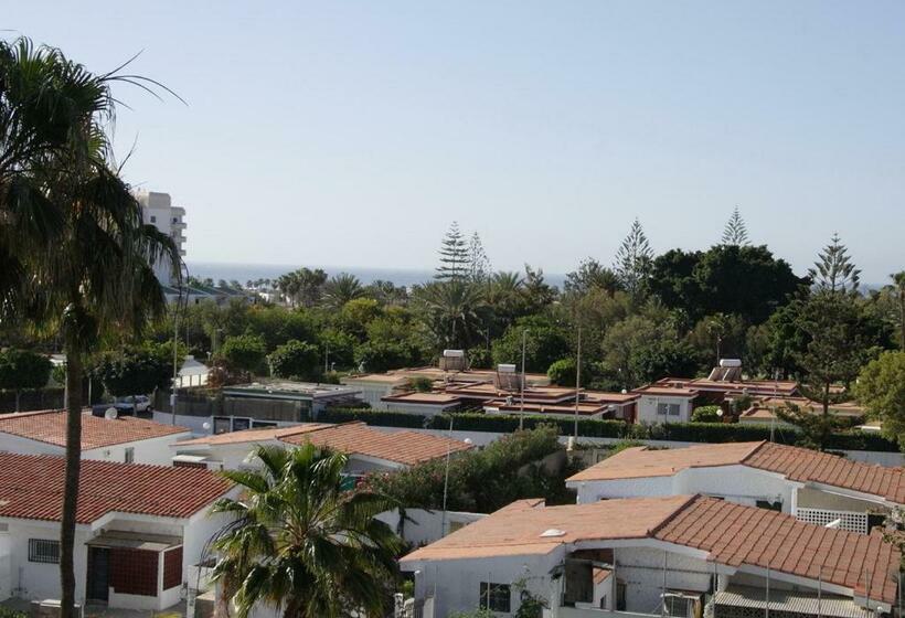１ベッドルームアパートメント, Apartamentos Los Tilos