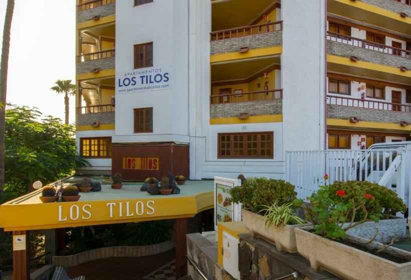 آپارتمان 1 خوابه, Apartamentos Los Tilos