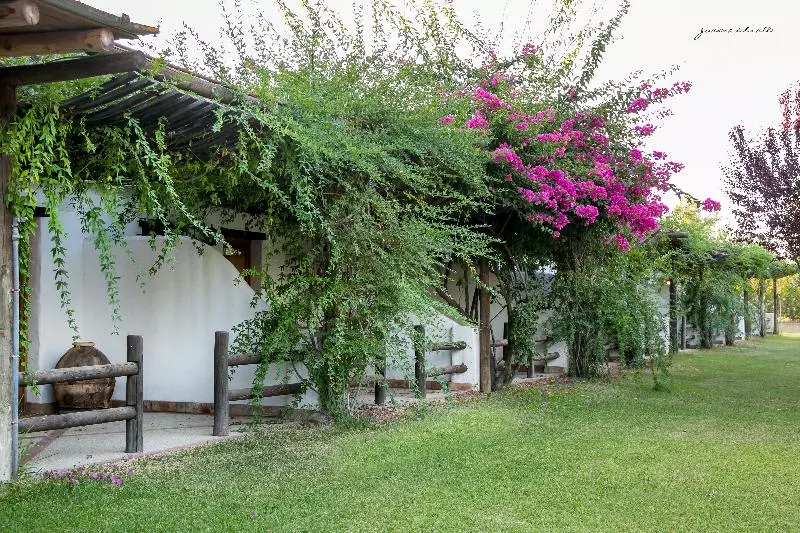 اتاق استاندارد, Ardea Purpurea