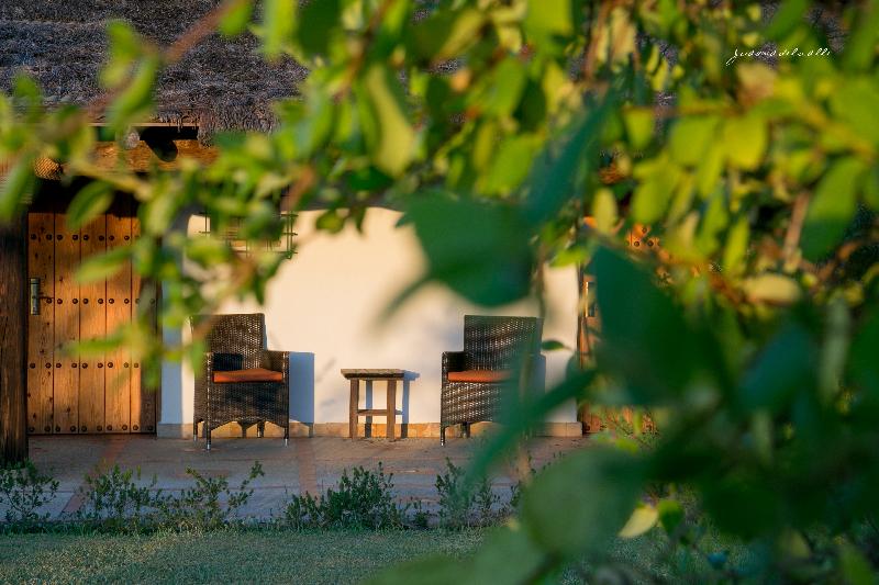 스탠다드 룸, Ardea Purpurea