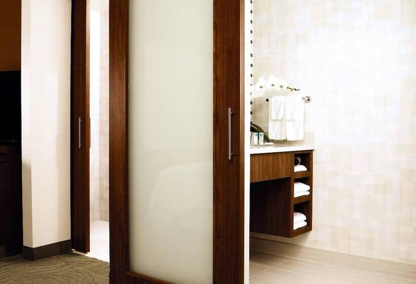 标准工作室, Springhill Suites Houston Intercontinental Airport