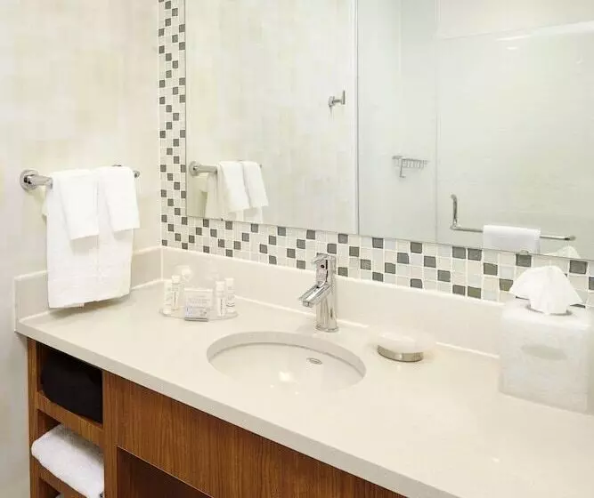 スタンダードスタジオ, Springhill Suites Houston Intercontinental Airport
