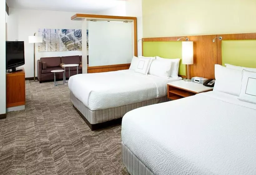 スタンダードスタジオ, Springhill Suites Houston Intercontinental Airport