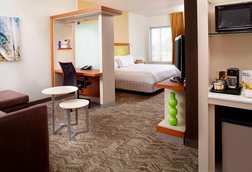 标准工作室, Springhill Suites Houston Intercontinental Airport